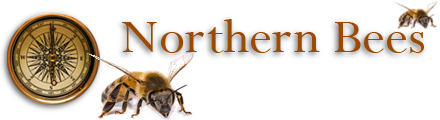 Northern Bees