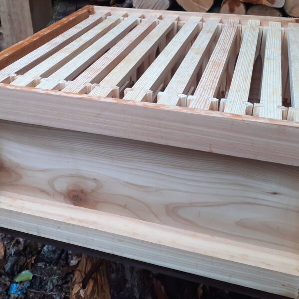 National Brood Box Complete with 11 Frames and Foundation