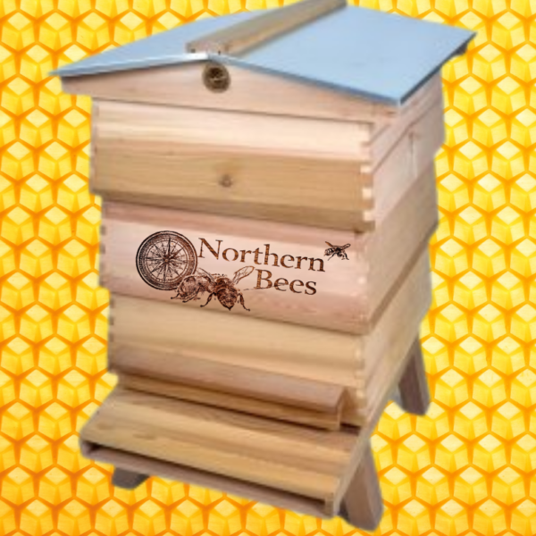 WBC Hive (empty, open mesh floor)