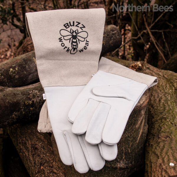 Standard Leather Gloves