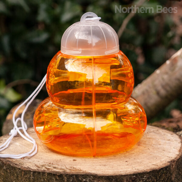 Beekeepers Wasp Trap