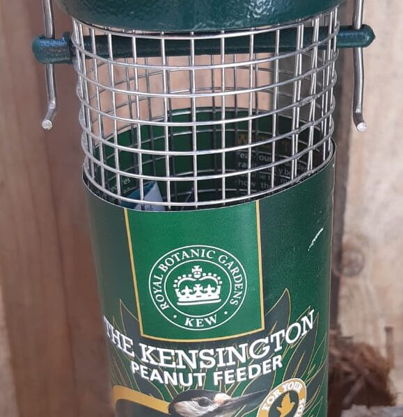Kensington Peanut Feeder