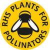 P5 Woodland & Heavy Shade Wildflower Seed Mix 100% - Image 2