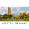 P5 Woodland & Heavy Shade Wildflower Seed Mix 100% - Image 3